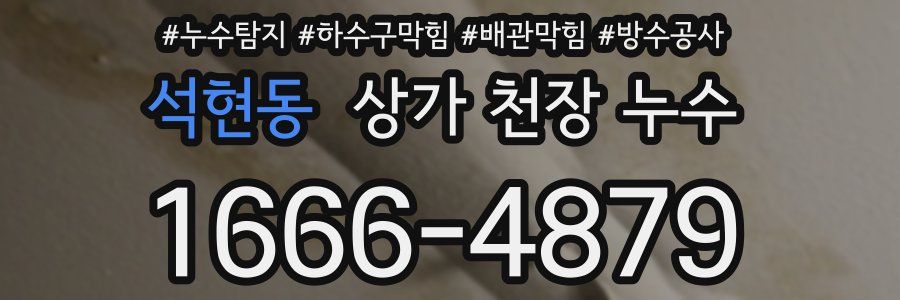 석현동 상가 천장 누수