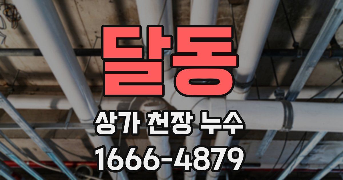 달동 상가 천장 누수