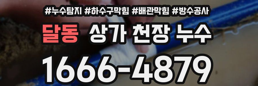달동 상가 천장 누수