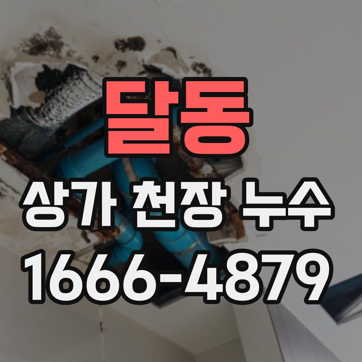 달동 상가 천장 누수