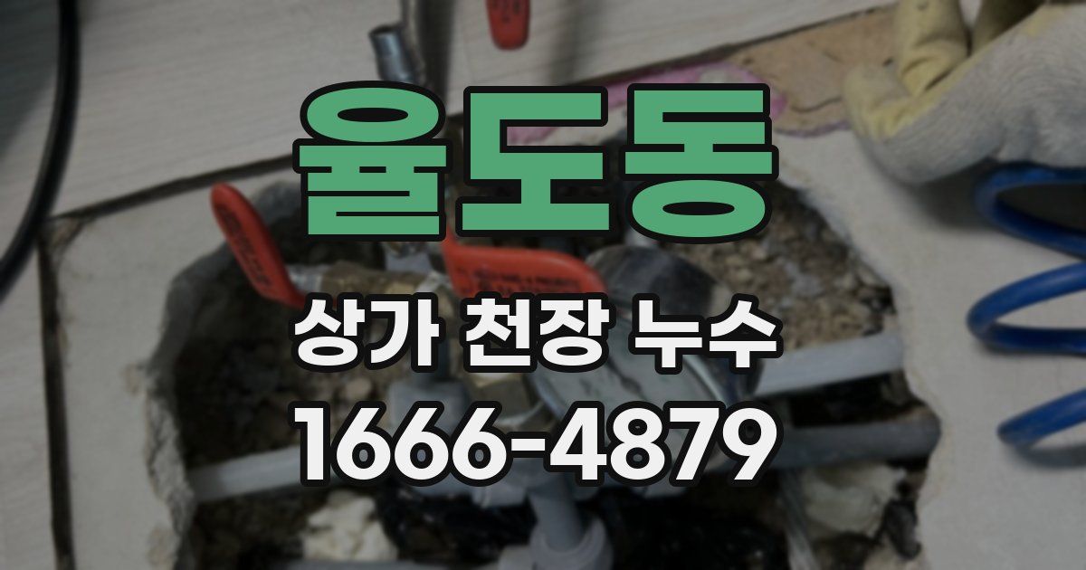 율도동 상가 천장 누수