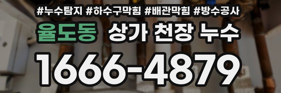 율도동 상가 천장 누수