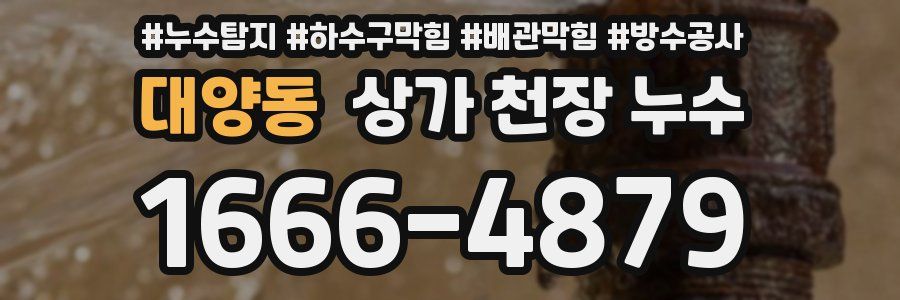 대양동 상가 천장 누수