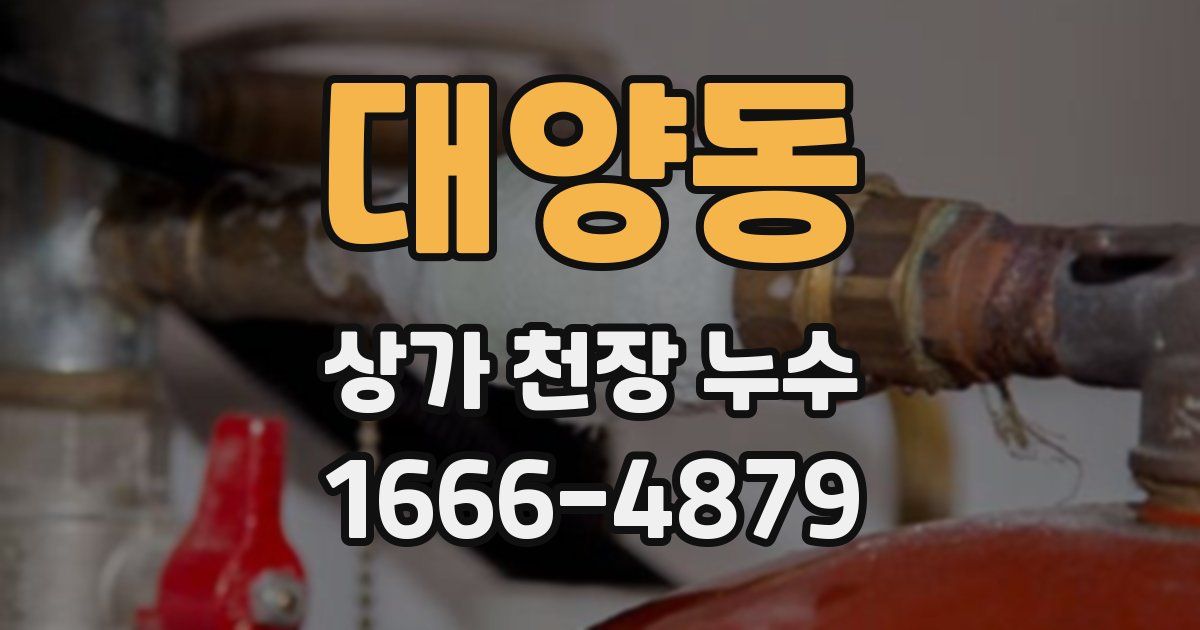 대양동 상가 천장 누수