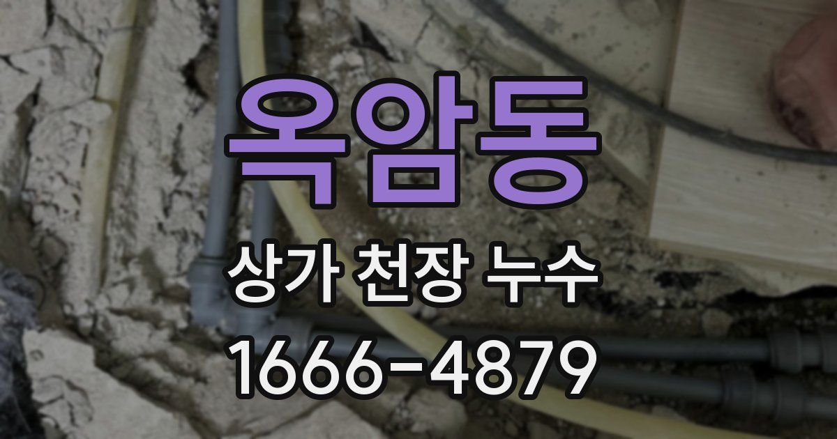 옥암동 상가 천장 누수