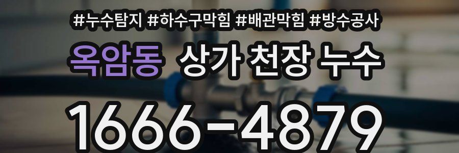 옥암동 상가 천장 누수