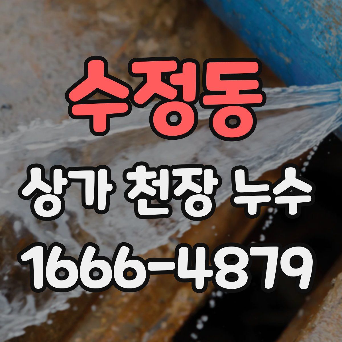 수정동 상가 천장 누수