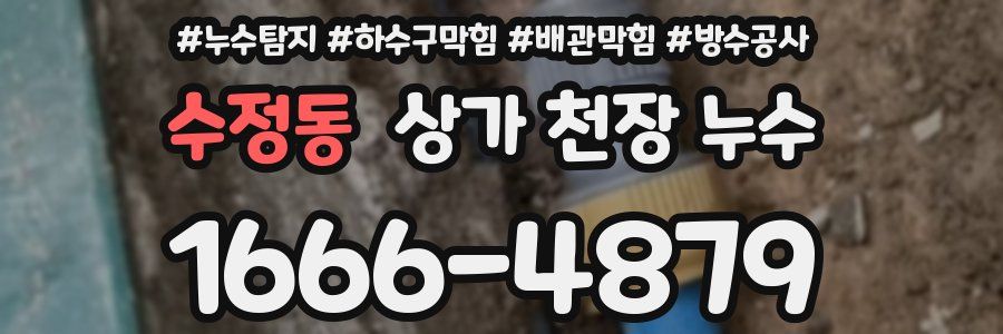 수정동 상가 천장 누수