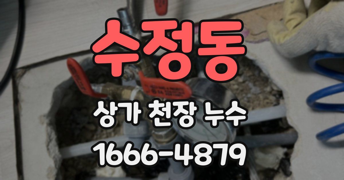 수정동 상가 천장 누수