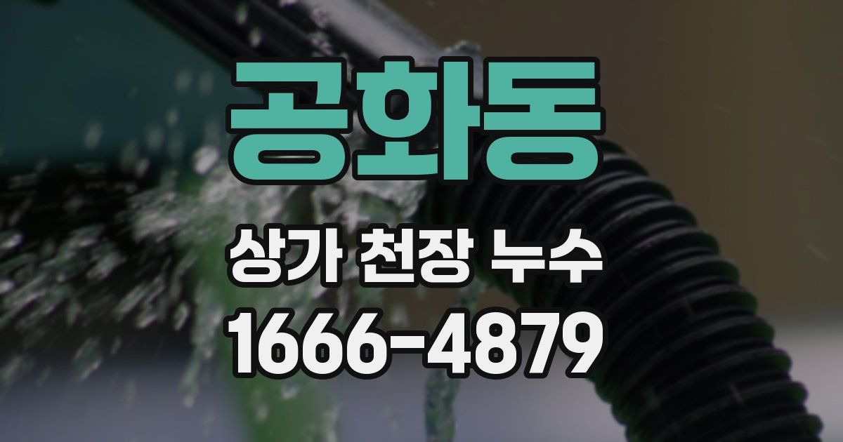 공화동 상가 천장 누수