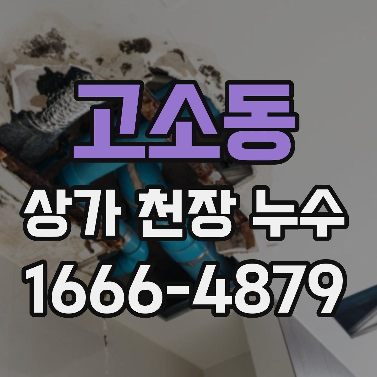 고소동 상가 천장 누수