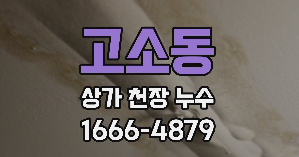 고소동 상가 천장 누수
