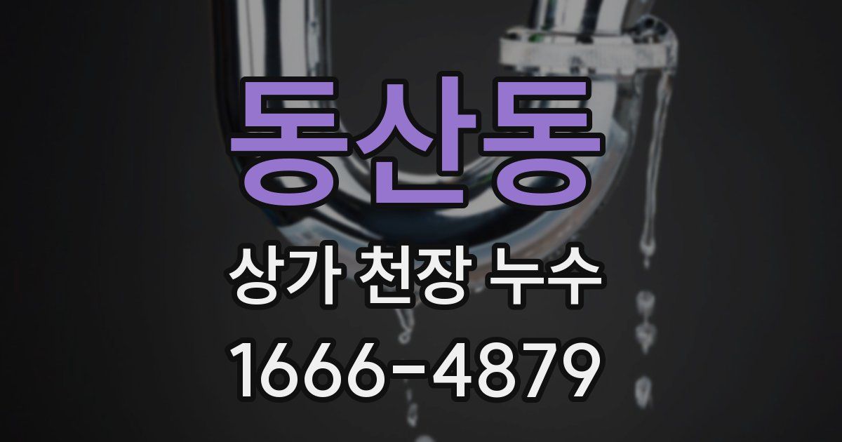 동산동 상가 천장 누수