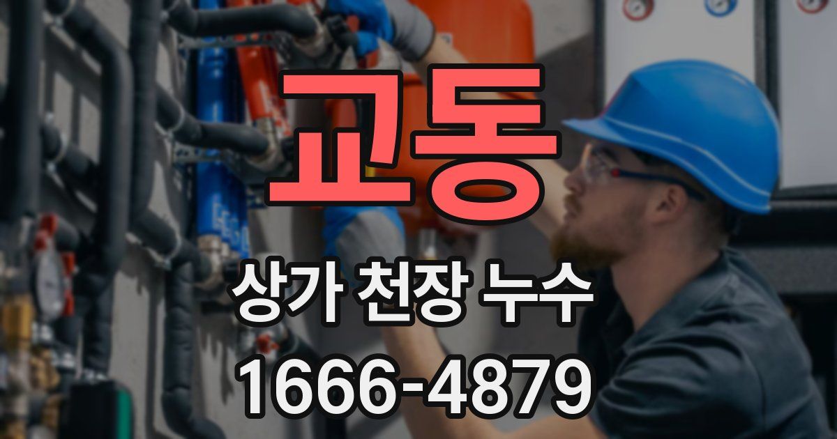 교동 상가 천장 누수