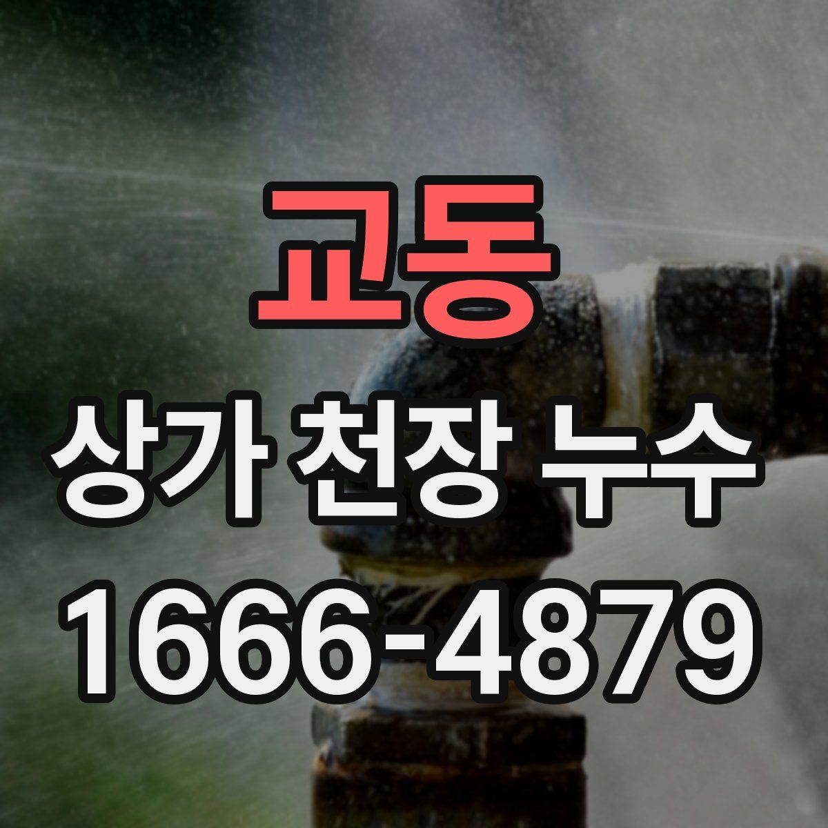 교동 상가 천장 누수