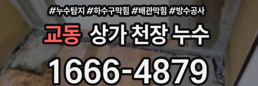 교동 상가 천장 누수