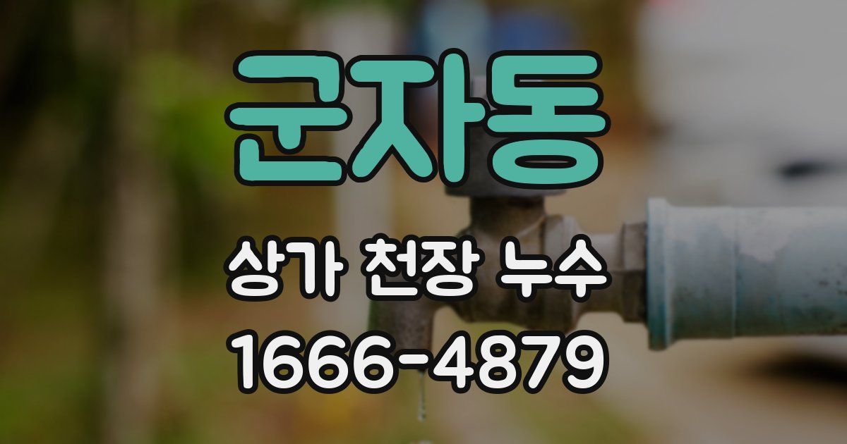 군자동 상가 천장 누수