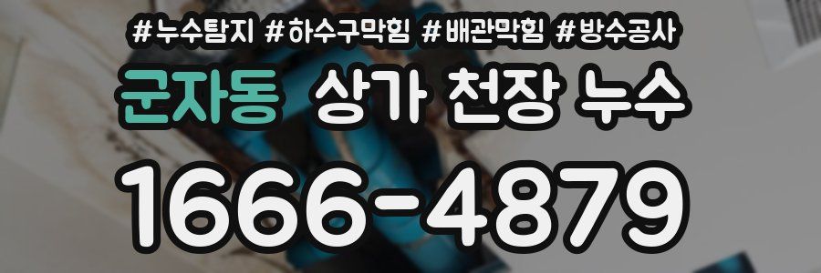 군자동 상가 천장 누수