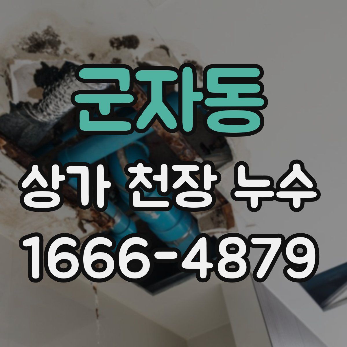 군자동 상가 천장 누수