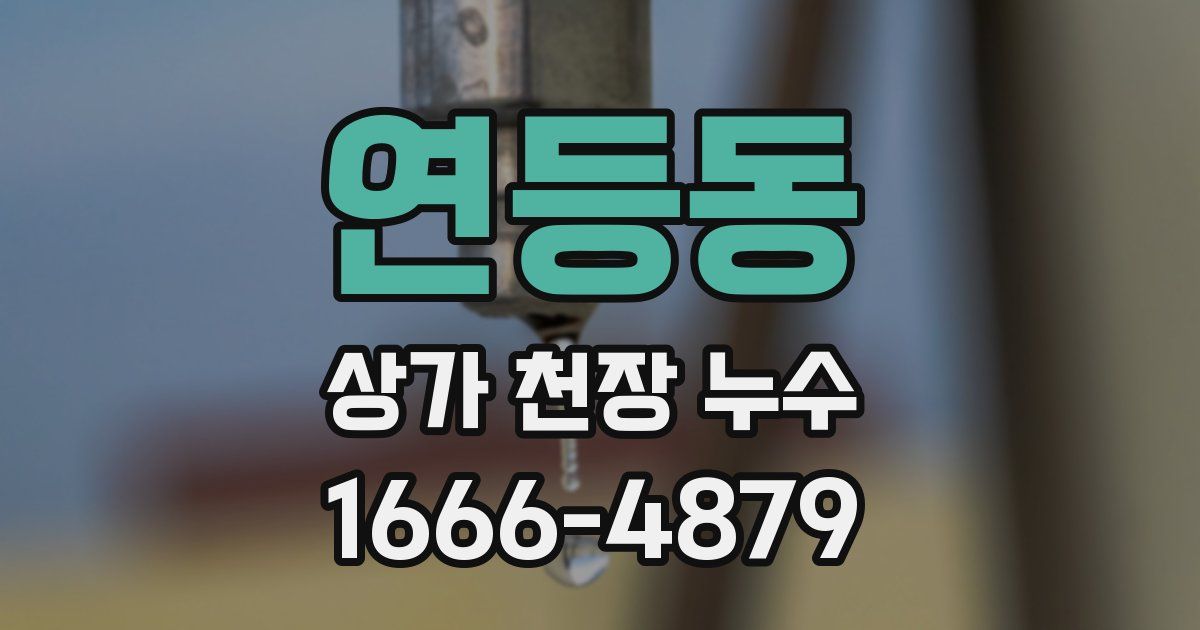 연등동 상가 천장 누수