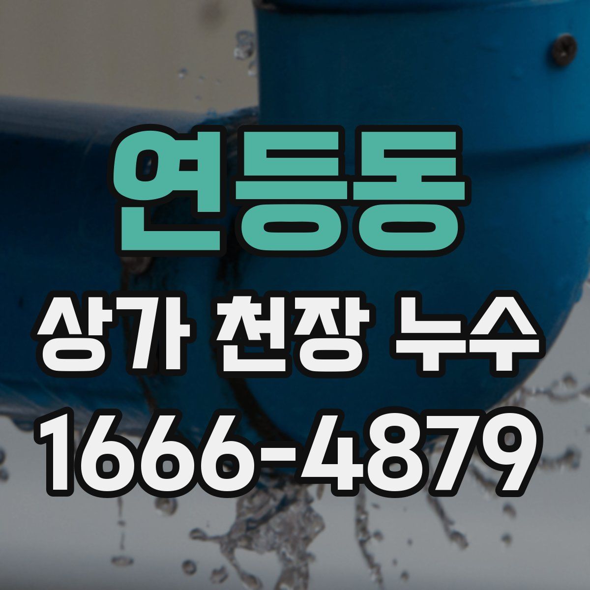 연등동 상가 천장 누수