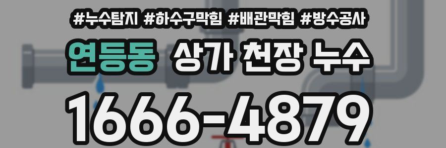 연등동 상가 천장 누수