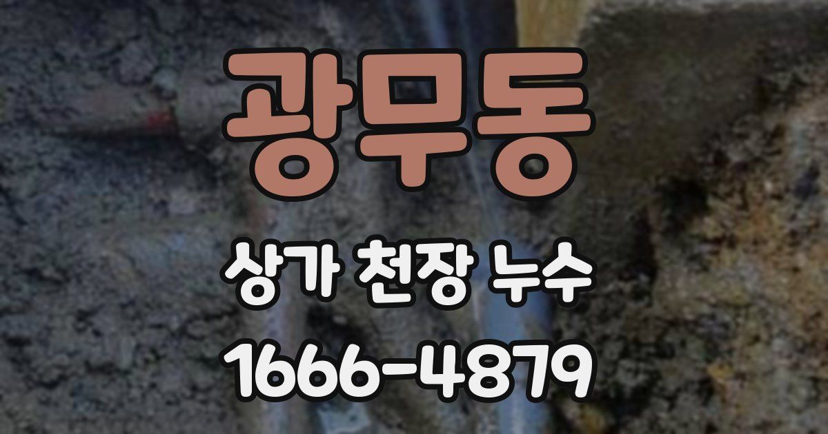 광무동 상가 천장 누수