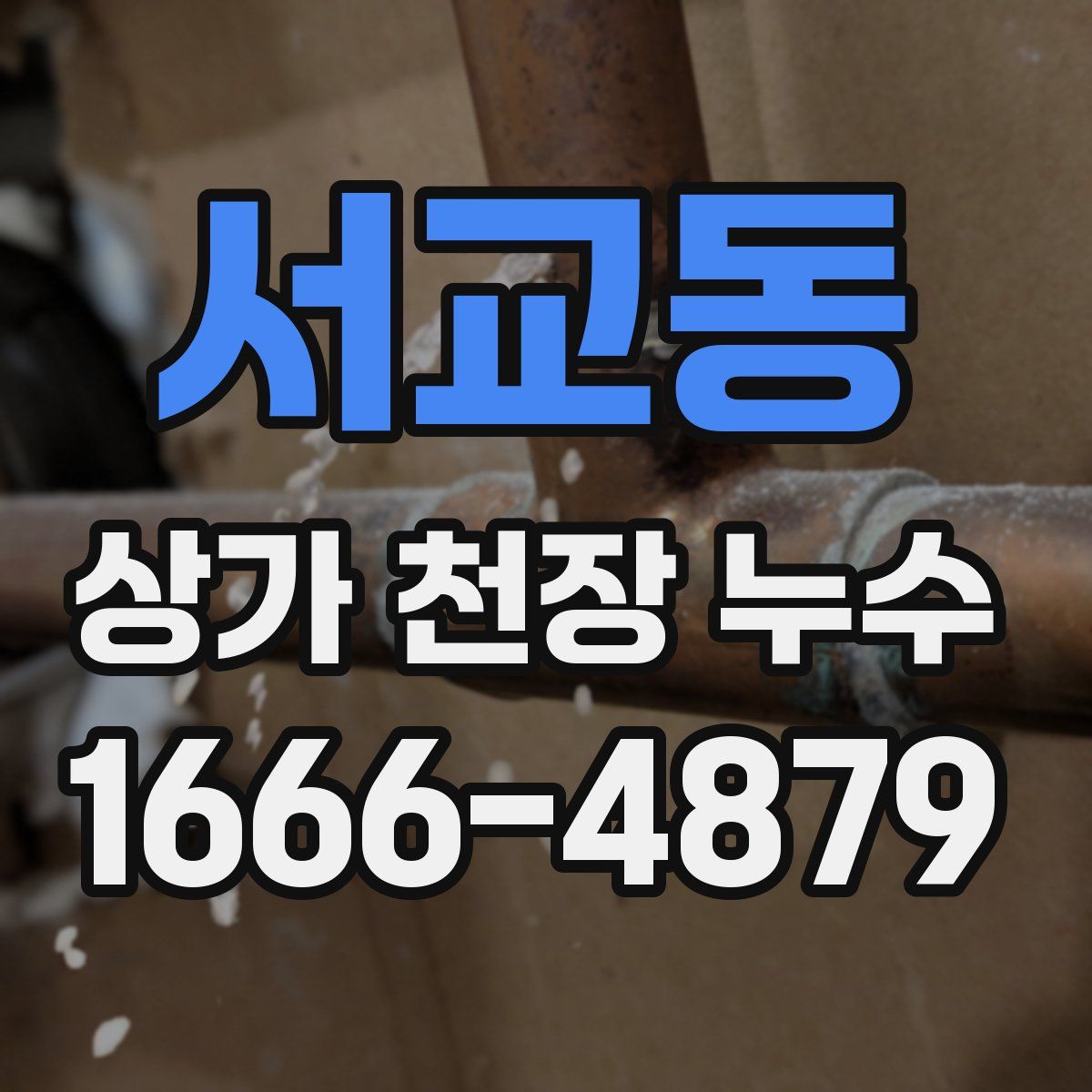 서교동 상가 천장 누수
