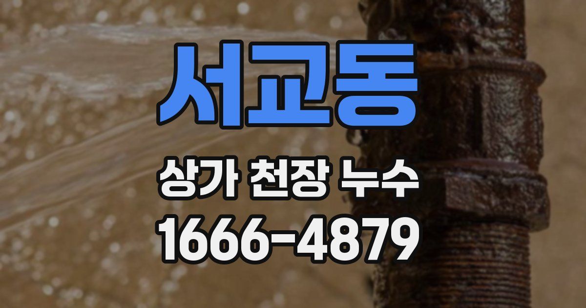 서교동 상가 천장 누수
