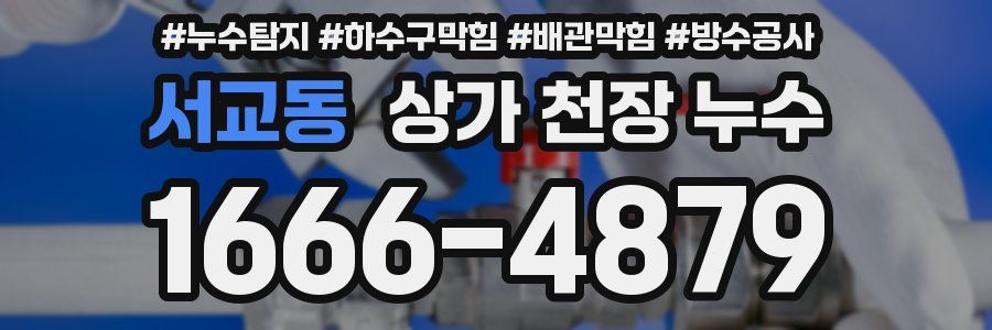 서교동 상가 천장 누수