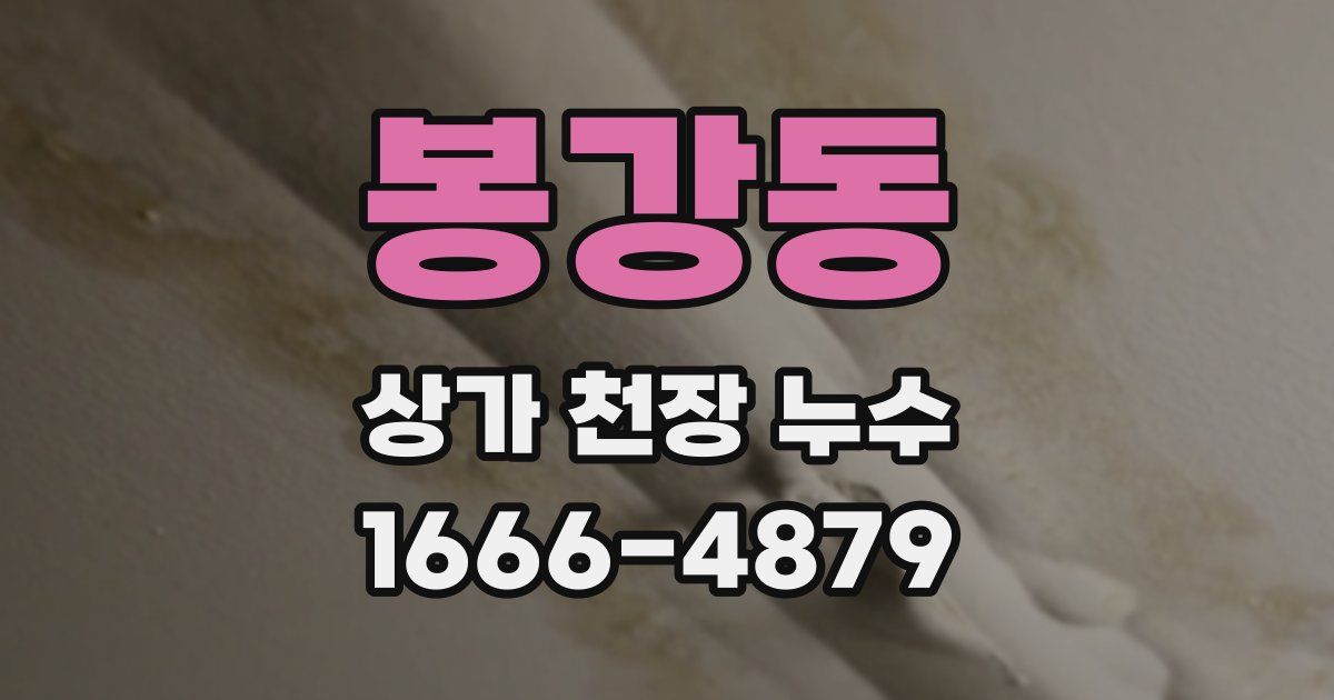 봉강동 상가 천장 누수