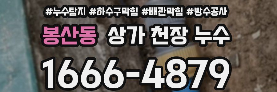 봉산동 상가 천장 누수