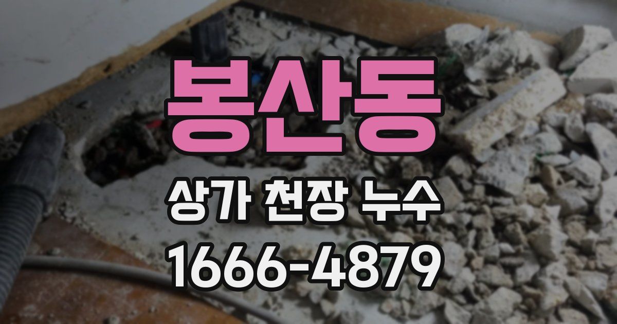 봉산동 상가 천장 누수