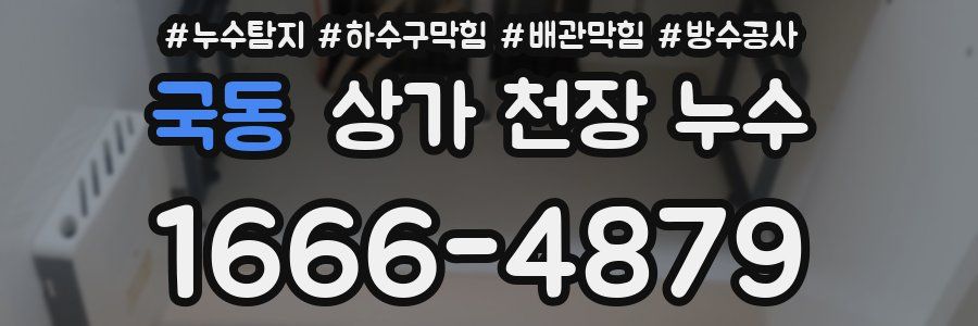 국동 상가 천장 누수