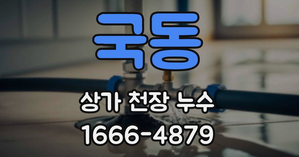 국동 상가 천장 누수