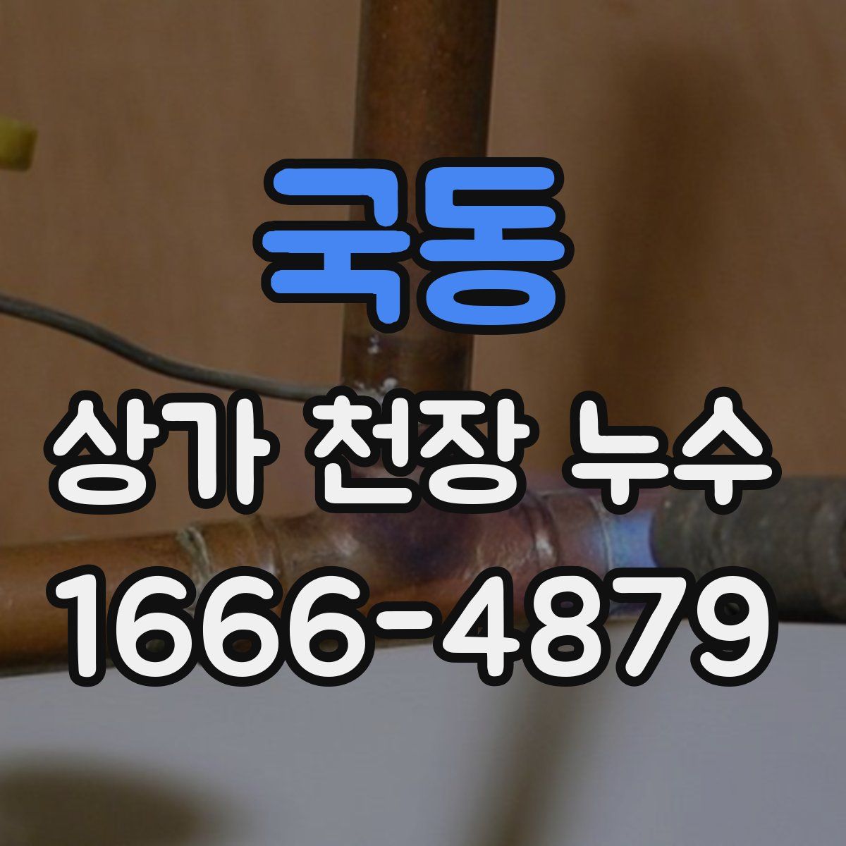국동 상가 천장 누수