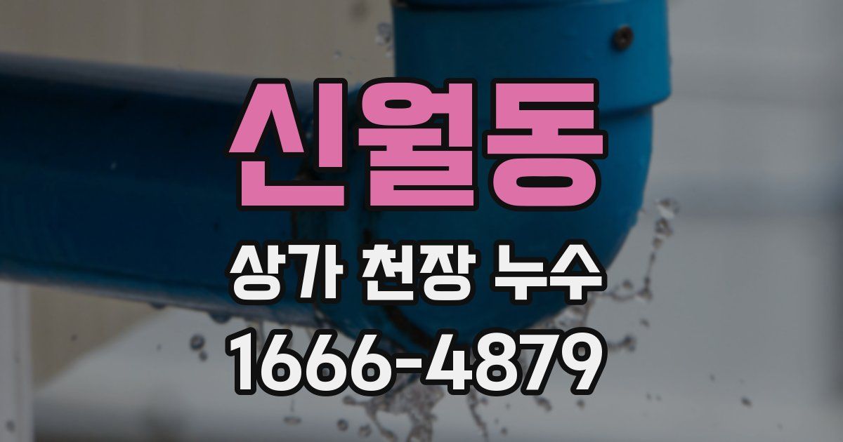 신월동 상가 천장 누수