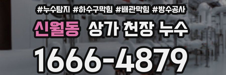 신월동 상가 천장 누수