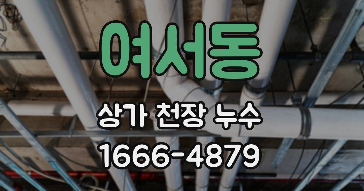 여서동 상가 천장 누수