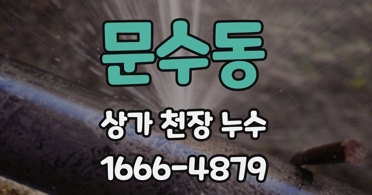 문수동 상가 천장 누수