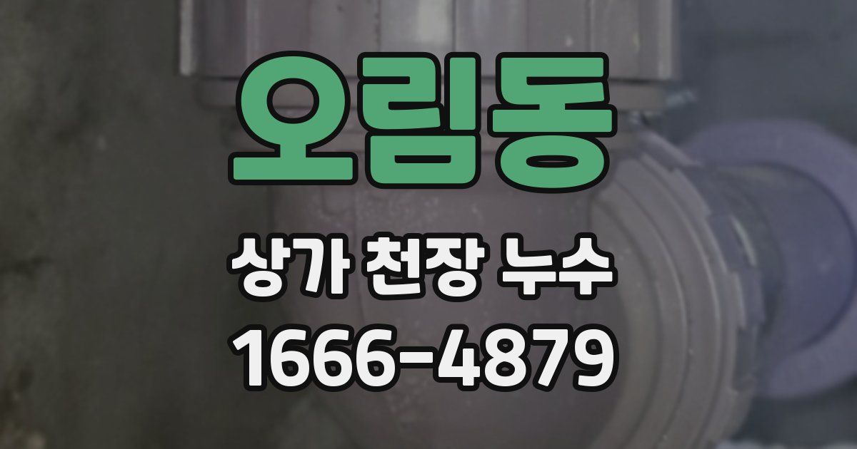 오림동 상가 천장 누수