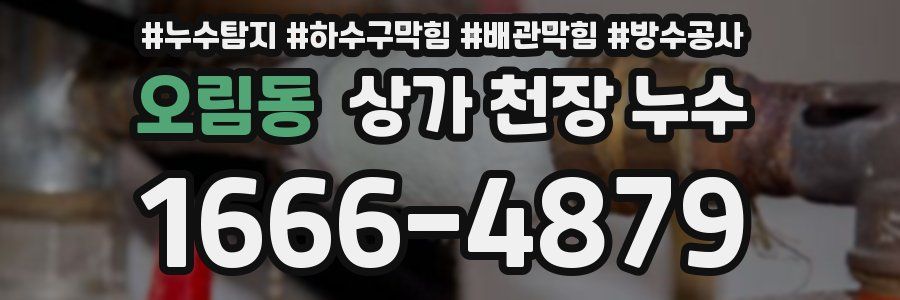 오림동 상가 천장 누수