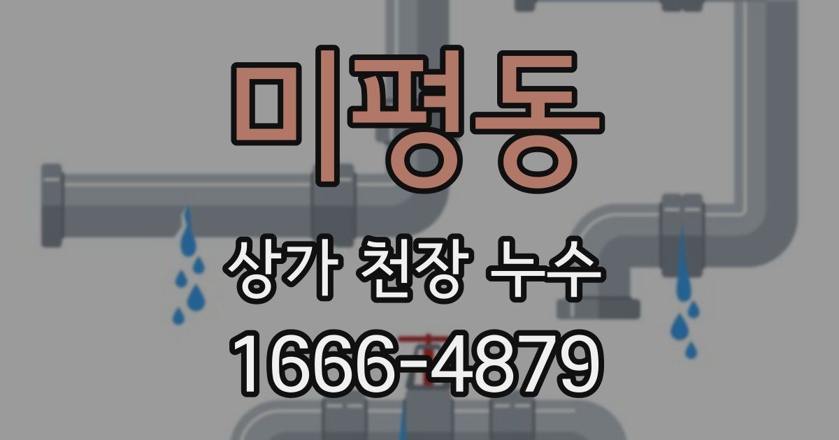 미평동 상가 천장 누수