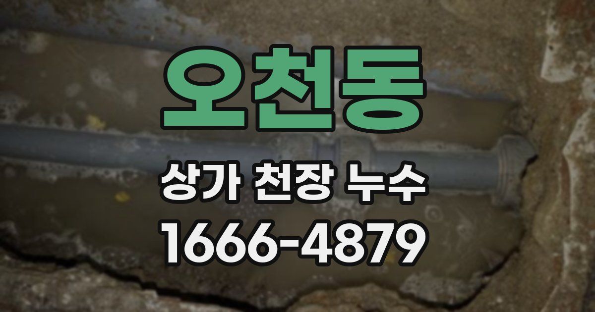 오천동 상가 천장 누수
