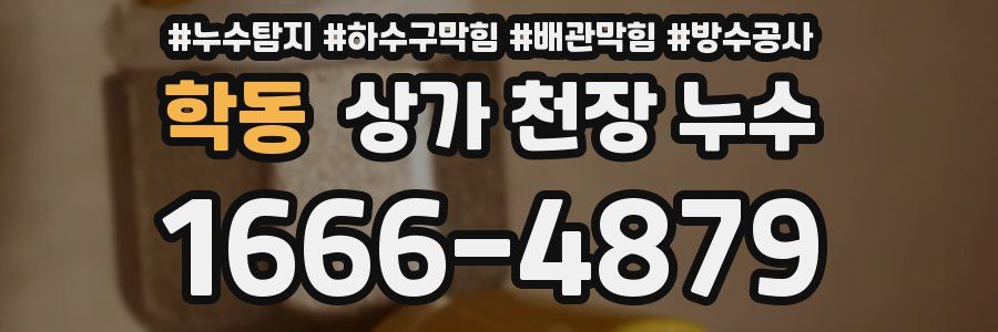학동 상가 천장 누수