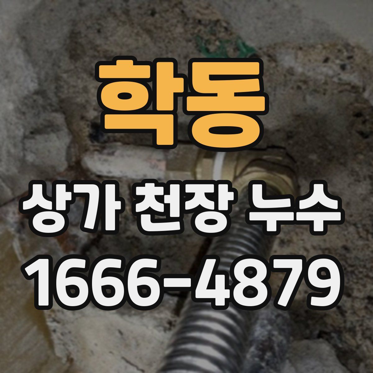 학동 상가 천장 누수