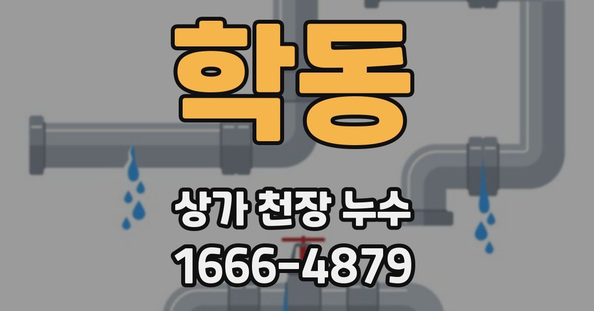 학동 상가 천장 누수