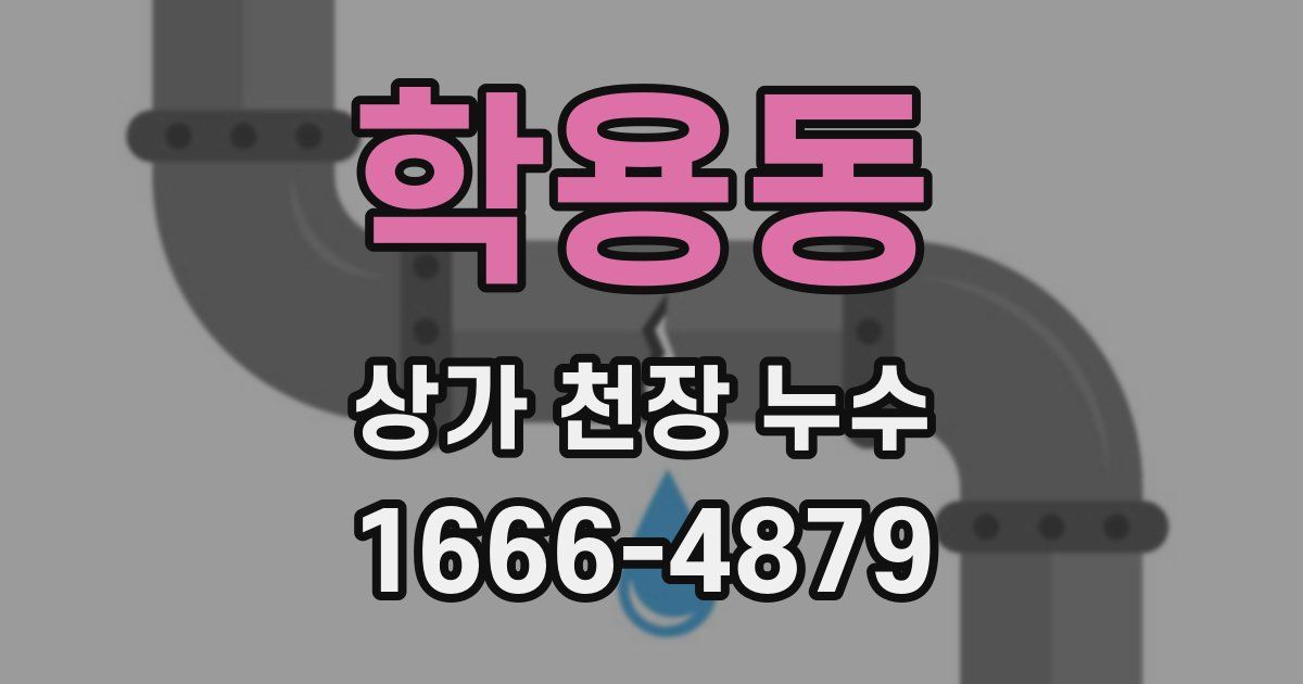 학용동 상가 천장 누수