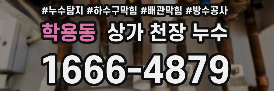 학용동 상가 천장 누수
