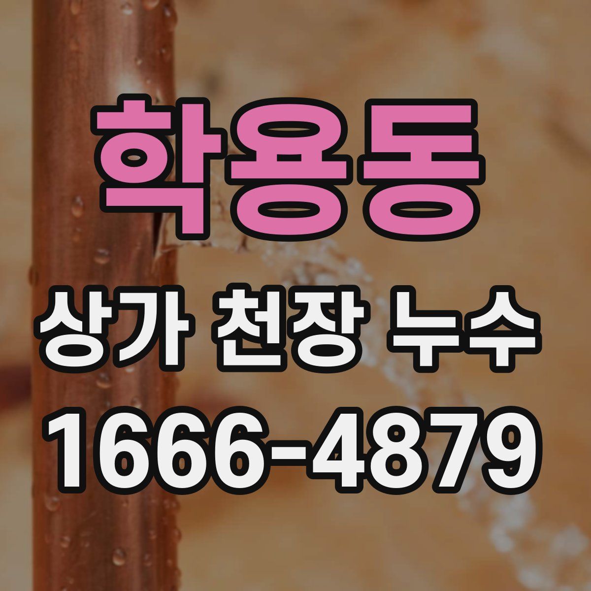 학용동 상가 천장 누수